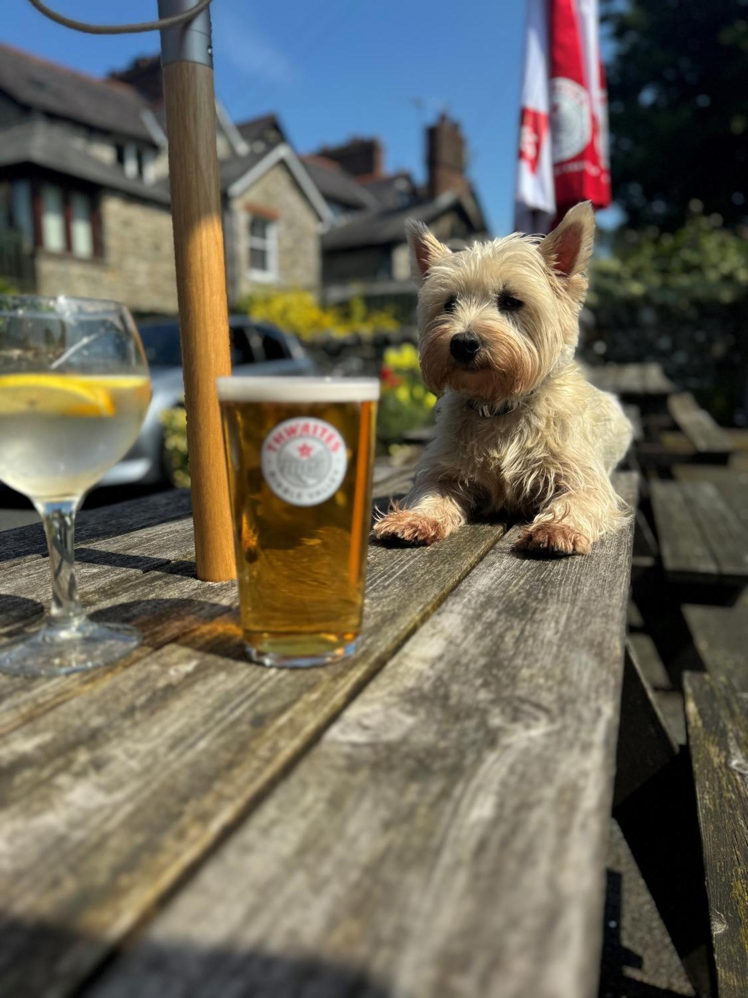 Craven Heifer Otel Ingleton  Dış mekan fotoğraf